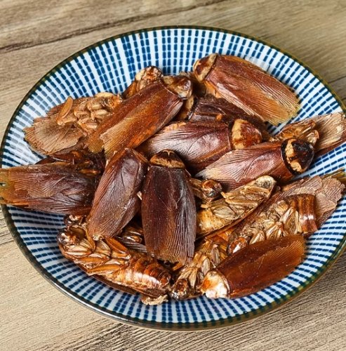 蟑螂中藥名稱全攻略：功效、用法與安全疑慮一次看懂