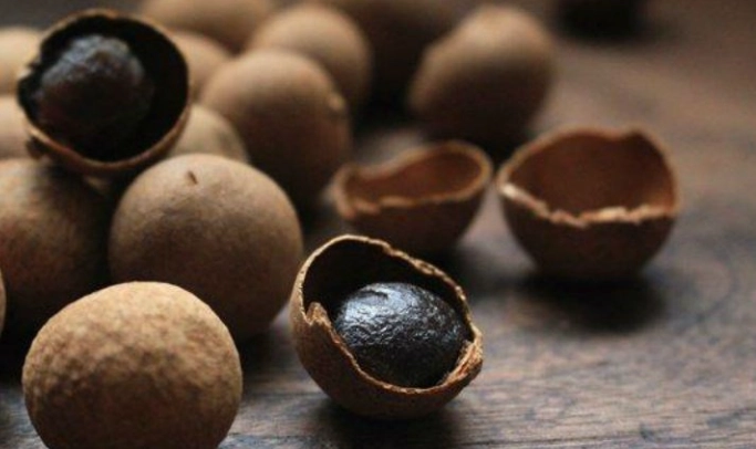 龍眼乾眼睛功效