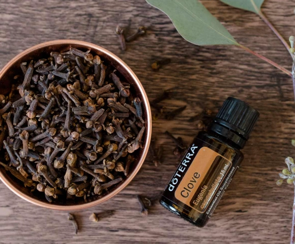 丁香精油好處