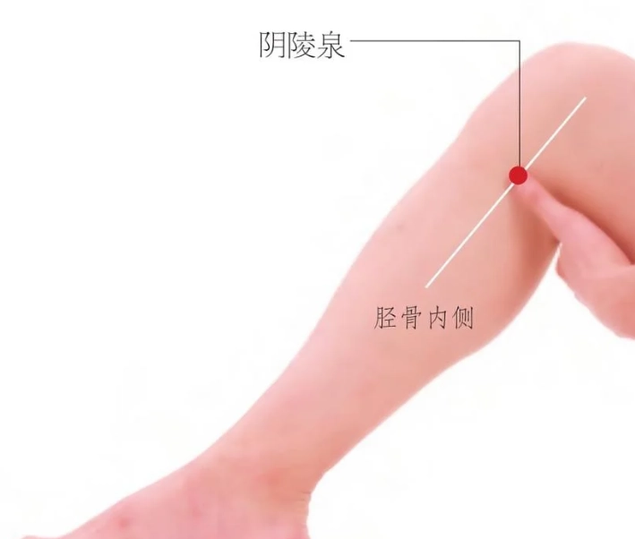 陰陵泉穴位置