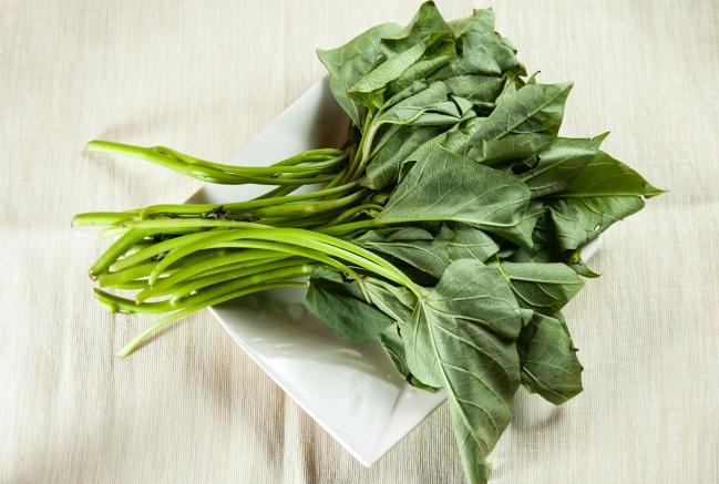 地瓜葉營養價值