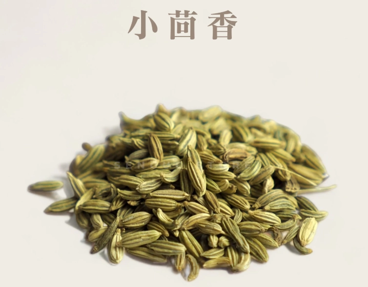 小茴香健康益處