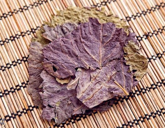 紫蘇葉中藥
