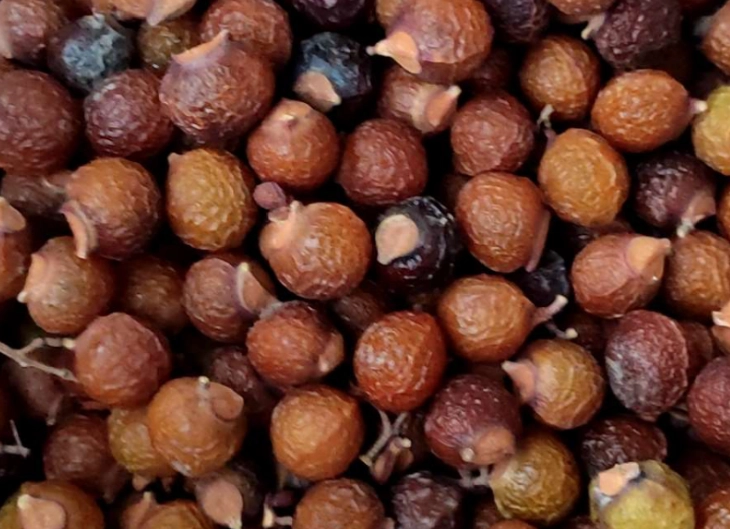 無患子肥皂好處