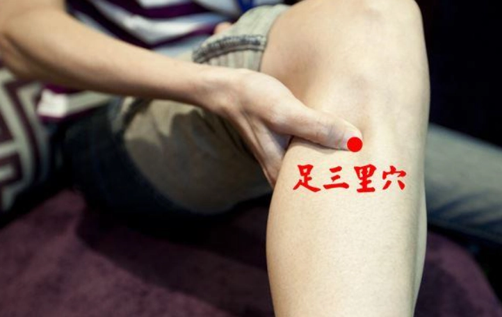 足三里位置