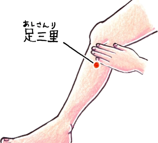 足三里穴位按摩