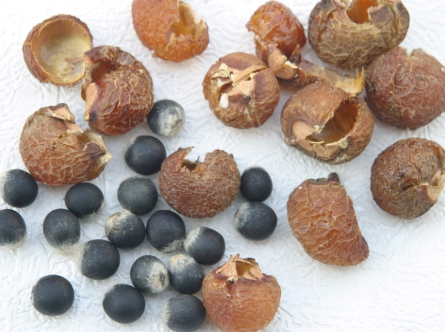 無患子處理方法