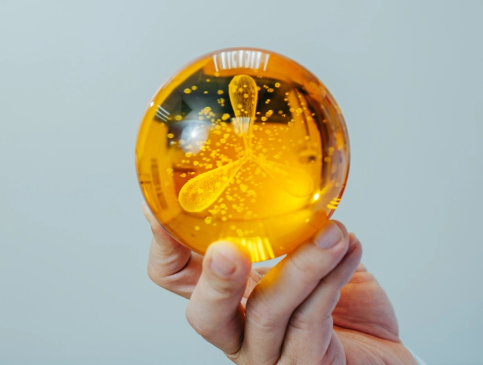 igg免疫球蛋白好處