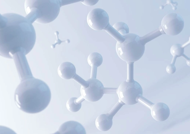 胺基酸補充安全