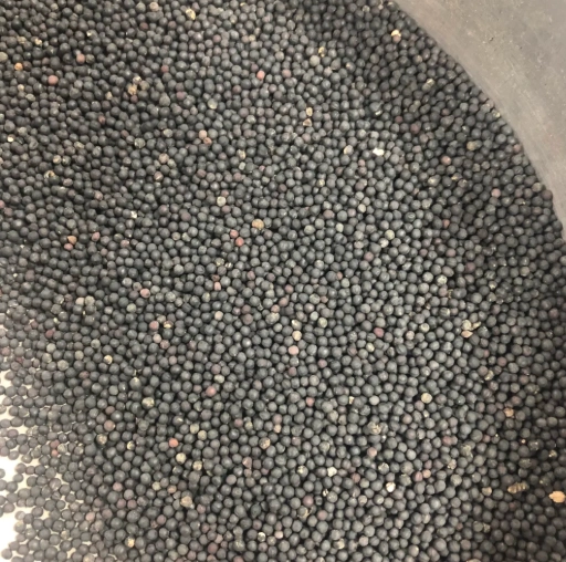 王不留行副作用