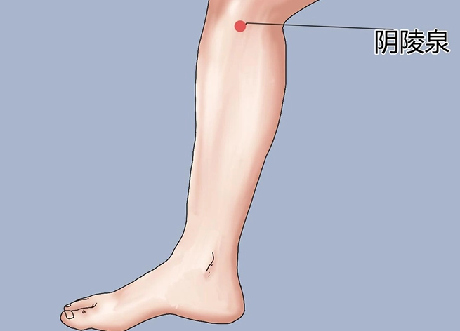陰陵泉疼痛原因