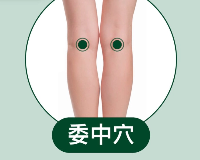 委中穴位置