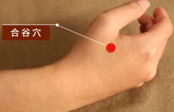 合谷穴功效