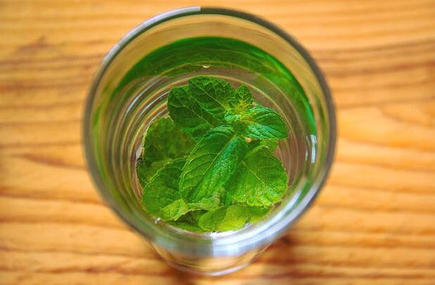 薄荷茶好处