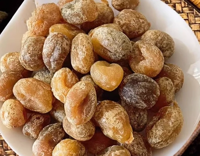 春砂仁涼果功效