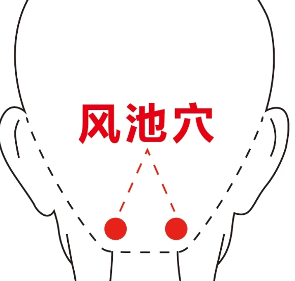 風池穴