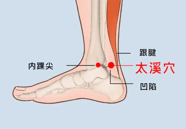 太衝穴位置