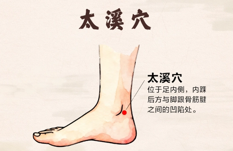 太溪穴位置