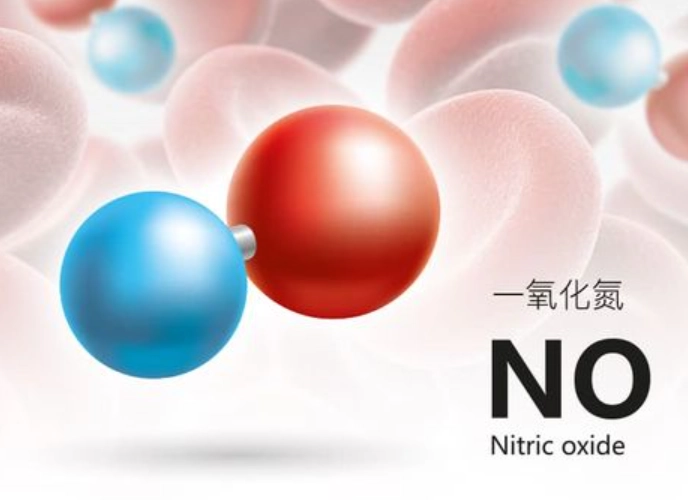 一氧化氮腎臟功能