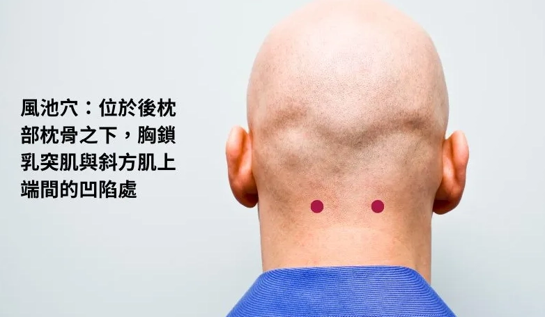 風池穴位置
