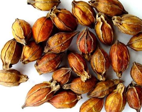 桶仔雞中藥配方