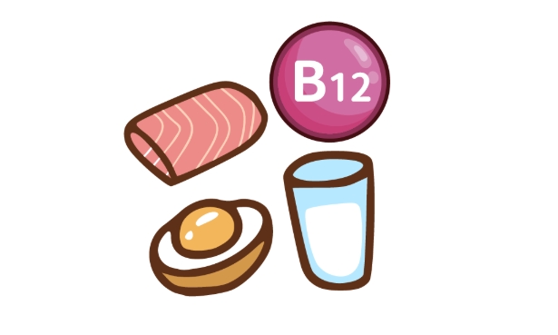 b12的功效