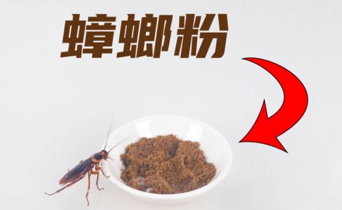 蟑螂粉中藥