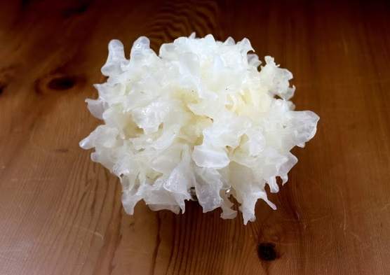 白木耳的功效和副作用