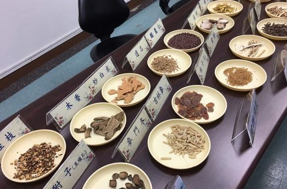 心律不整中藥方