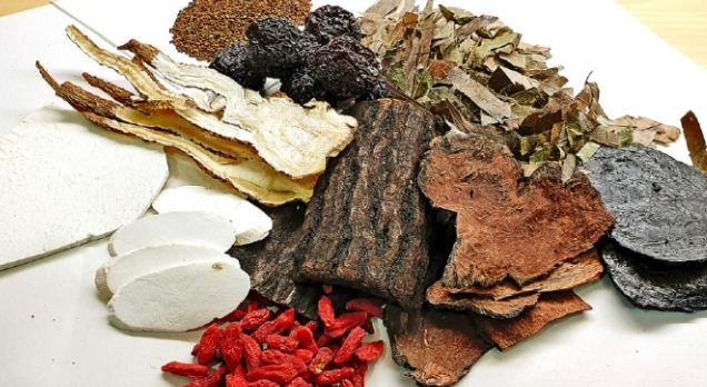 顧筋骨中藥全攻略：常見藥材、功效與實用指南