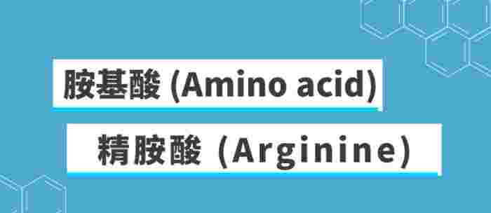 胺基酸的功效