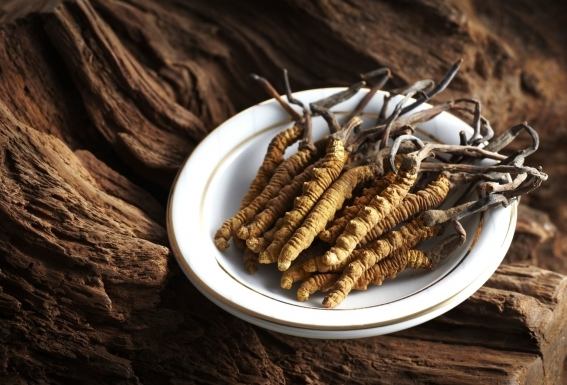 肺氣虛中藥治療全攻略：症狀、方劑與實用建議