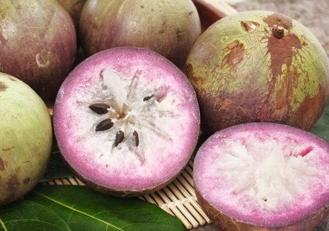 牛奶果功效與禁忌