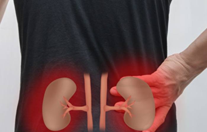 腎臟不好可以吃中藥嗎？中醫師解析調理關鍵與風險注意事項