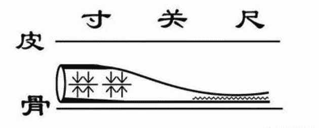 脈診定義