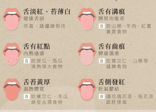 臟腑經絡與舌的聯繫