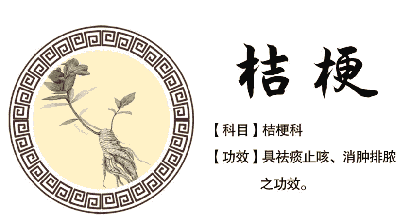 桔梗中藥產地