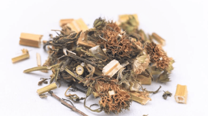 使用益母草的潛在交互作用