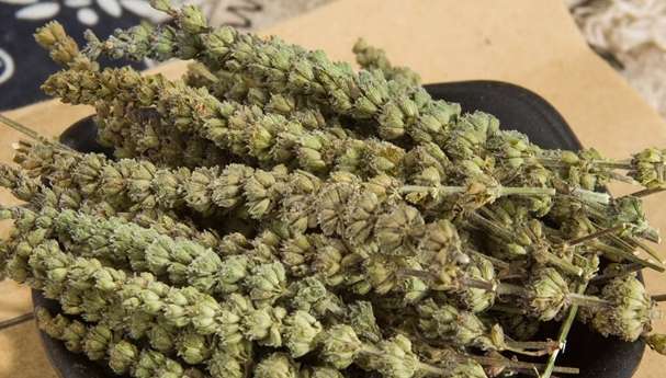 荊芥有什麼功效