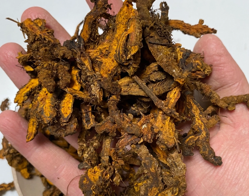 黃連副作用皮膚