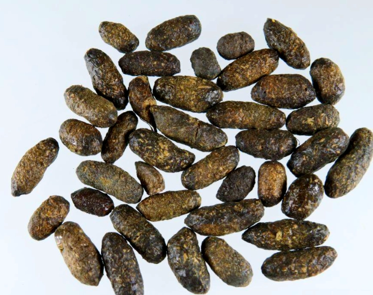 五靈脂蒲黃功效