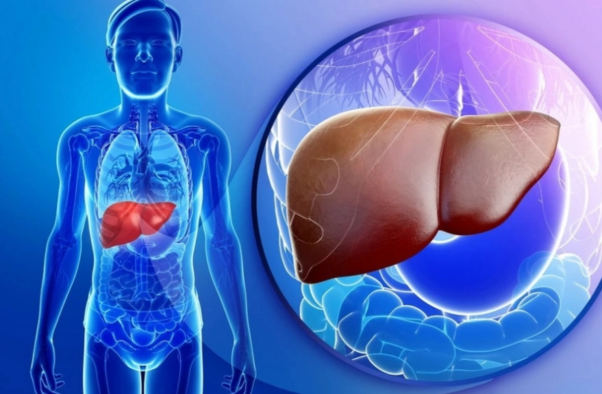 肝鬱是什麼原因