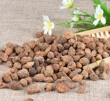 益智仁杜仲功效全攻略：中醫養生智慧提升記憶力與筋骨健康