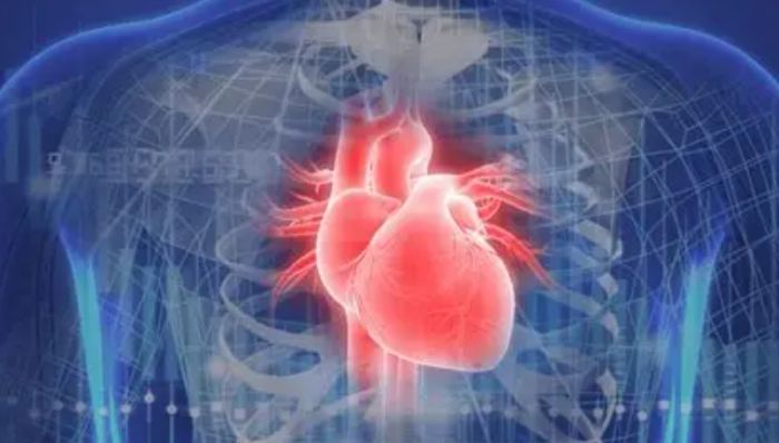 心包油如何改善？7大實用方法與飲食運動全指南