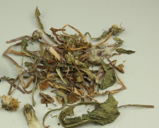 蒲公英叶子的功效全解析：從利尿到抗炎的完整指南