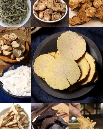 消風散禁忌全解析：安全使用指南與常見疑問解答