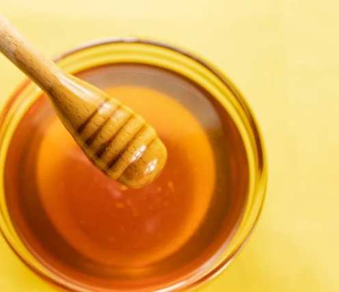 酪梨蜜完整指南：營養價值、食用方法與DIY製作秘訣