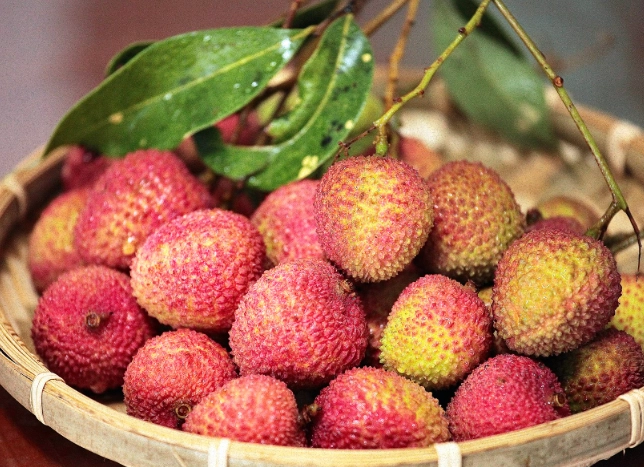 荔枝的功效與作用：中醫角度深度解析與實用指南