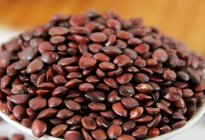 酸枣仁禁忌人群全解析：这些人千万别乱吃酸枣仁