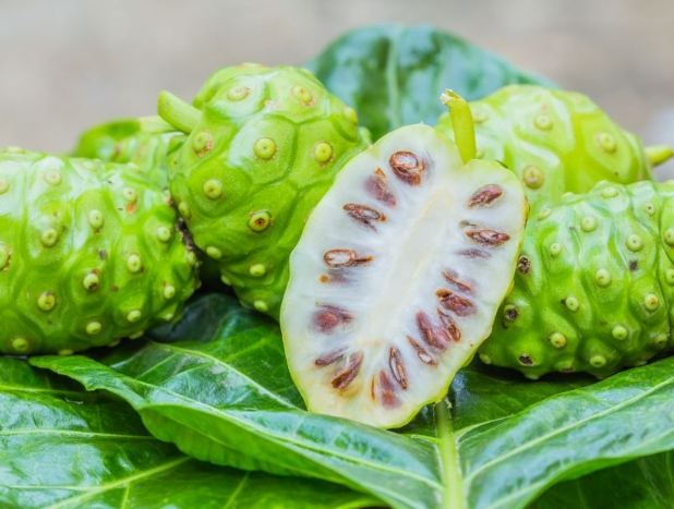 諾麗果酵素副作用全解析：安全食用指南與注意事項